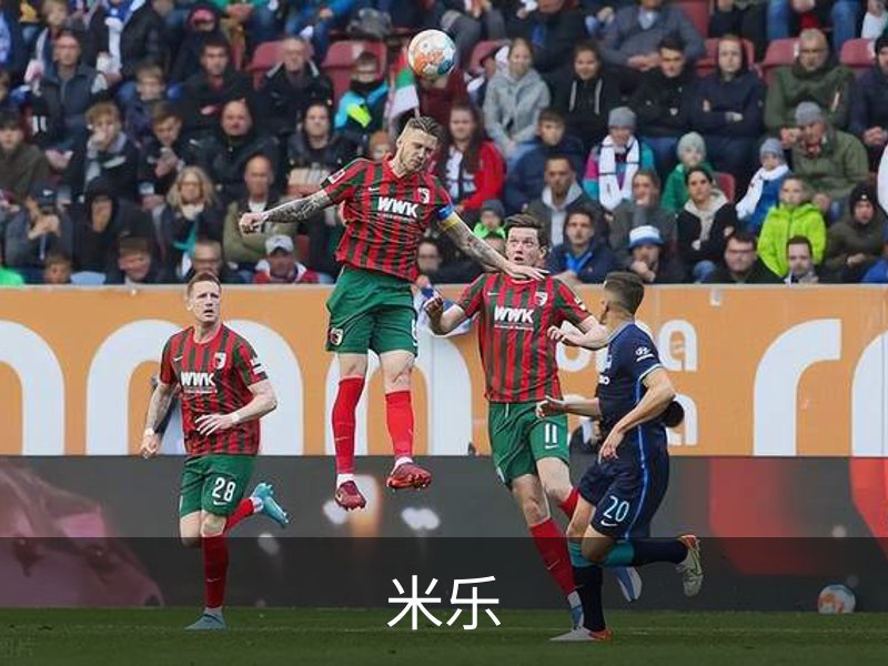 了解米乐